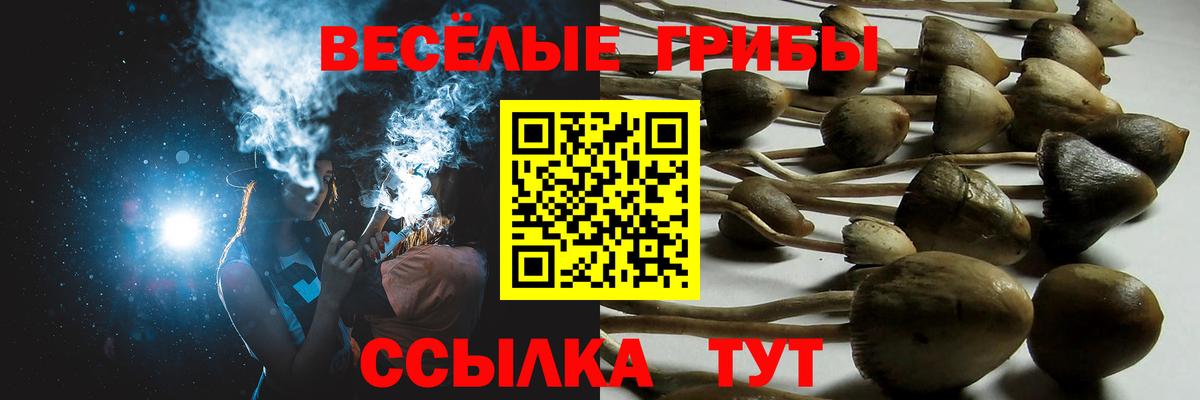 Качканар  Псилоцибиновые грибы Cubensis  Вход с VPN 